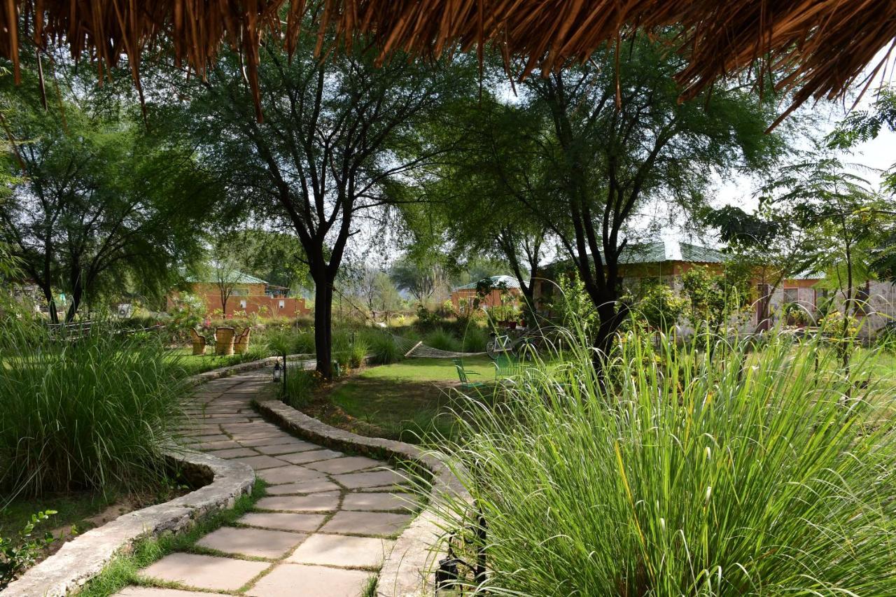 Bagh Serai - Rustic Cottage With Private Pool Saváj Madhopur Kültér fotó