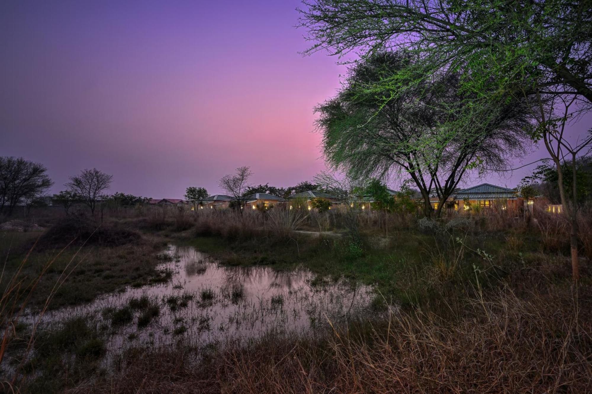 Bagh Serai - Rustic Cottage With Private Pool Saváj Madhopur Kültér fotó